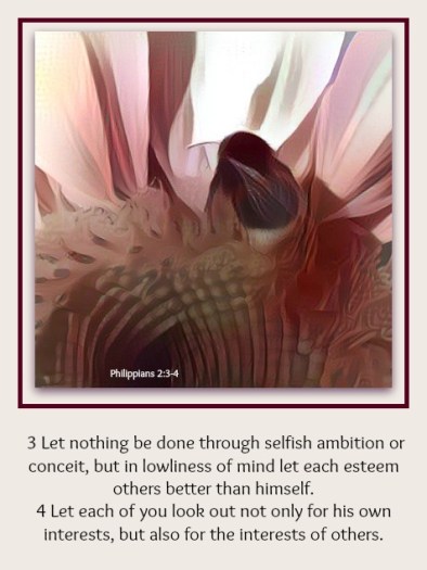 30053624974_5dfa4c43b7_o