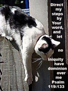 3852739081_92298afd58_o